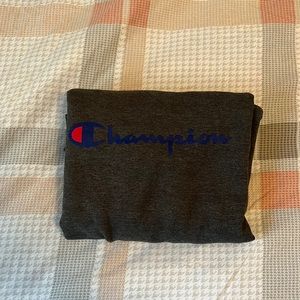 Champions Gray Sweatshirt